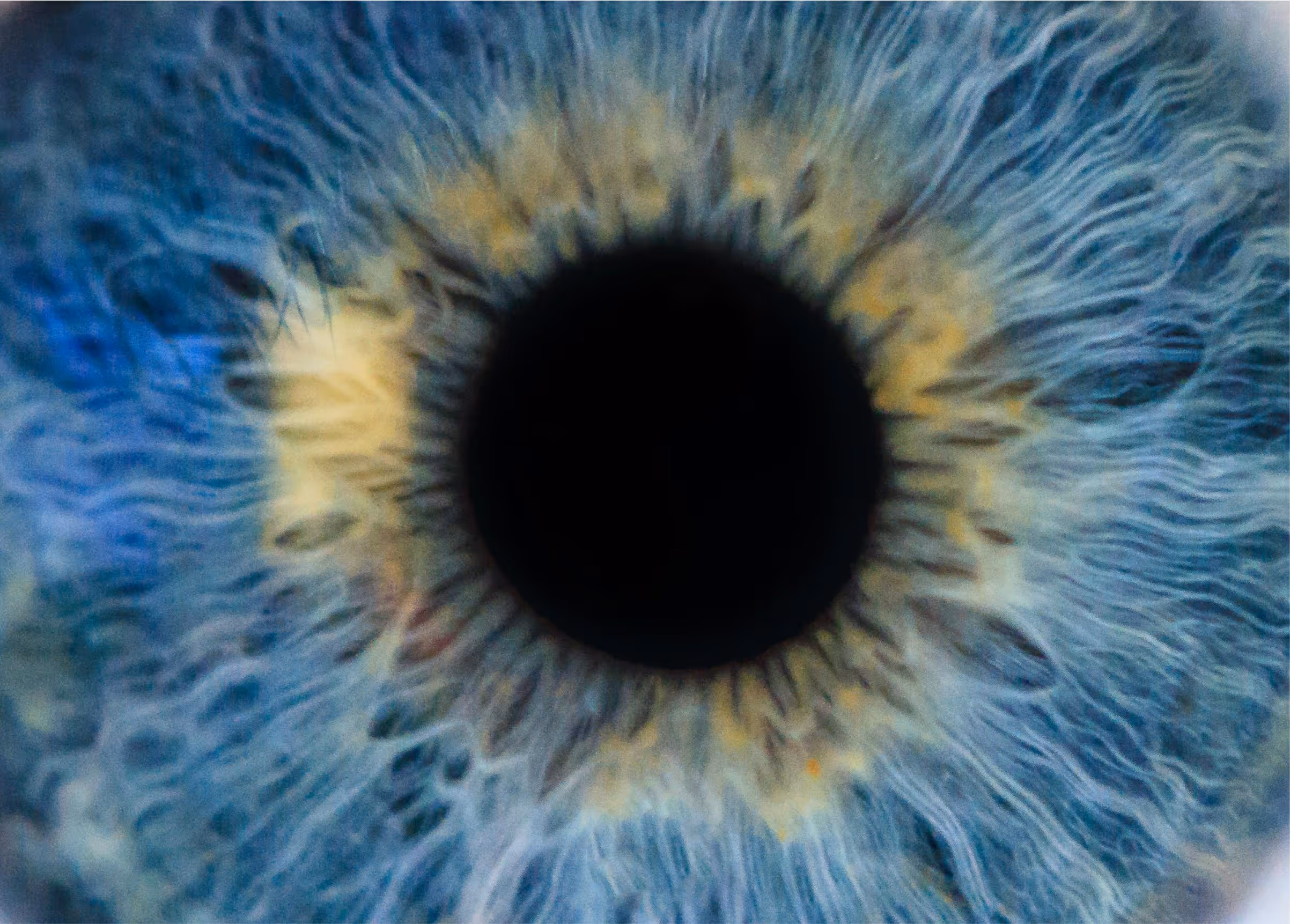 Close-up of a blue iris with detailed textures, symbolizing attentive observation and being truly seen.