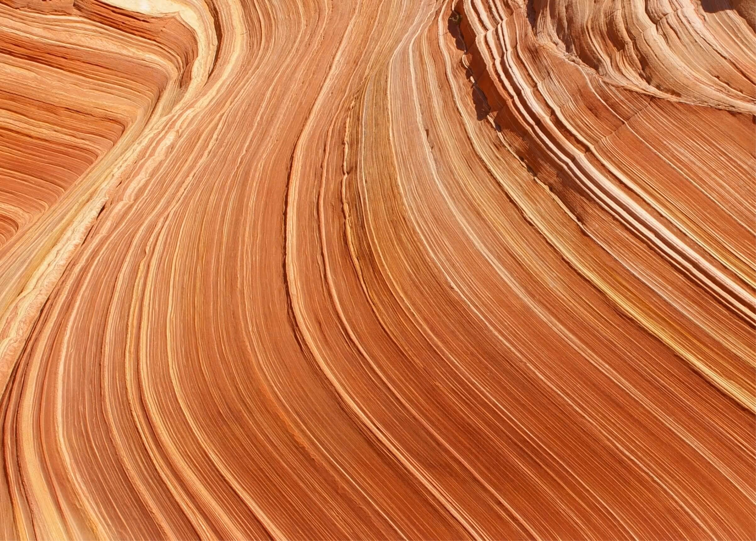 Reddish desert landscape with flowing curved lines, symbolizing a winding river and the journey of knowledge through time.